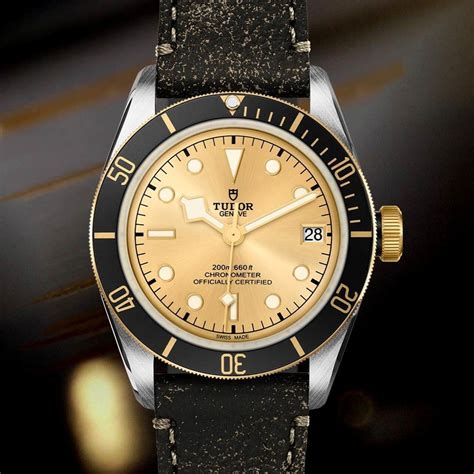 tudor gold and steel